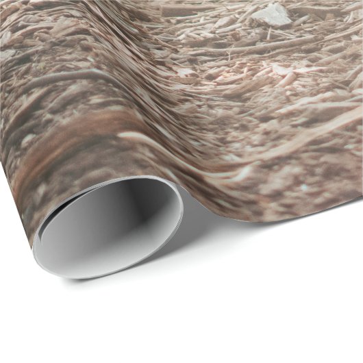 BROWN TIGER IN WALKING GESTURE CADEAUPAPIER (Rol Hoek)