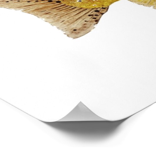 Brown Trout Art Poster (Hoek)