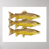 Brown Trout Art Poster (Voorkant)