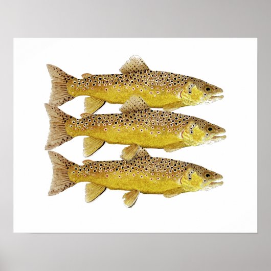 Brown Trout Art Poster (Voorkant)