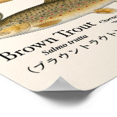 Brown Trout – English Art Print (Hoek)
