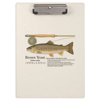 Brown Trout Fly Fishing Illustration Clipboard Klembord