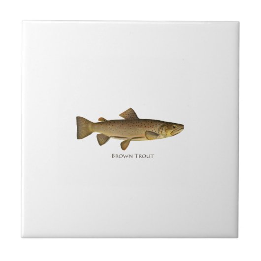 Brown Trout Logo Tegeltje (Voorkant)