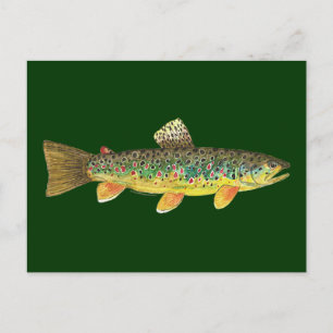 Brown Trout Vist Briefkaart