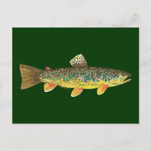 Brown Trout Vist Briefkaart (Voorkant)