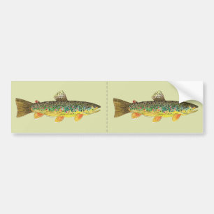 Brown Trout Vist Bumpersticker