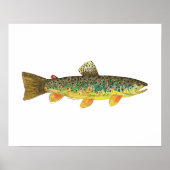 Brown Trout Vist Poster (Voorkant)