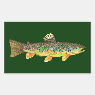 Brown Trout Vist Rechthoekige Sticker