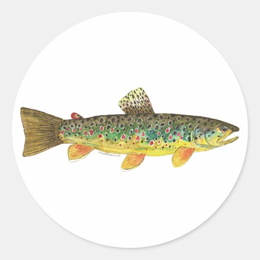 Brown Trout Vist Ronde Sticker (Voorkant)