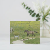 Brown Wild Horse Crossing Road DIY Briefkaart (Staand voorkant)