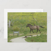 Brown Wild Horse Crossing Road DIY Briefkaart (Voorkant / Achterkant)