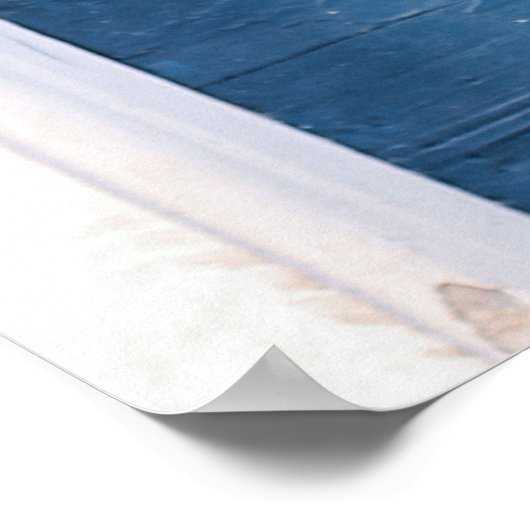 BROWN WOODEN PANELED DOORS POSTER (Hoek)