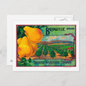 Brownie Pear Crate LabelCashmere, WA Briefkaart (Voorkant / Achterkant)