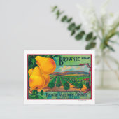 Brownie Pear Crate LabelCashmere, WA Briefkaart (Staand voorkant)
