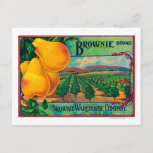 Brownie Pear Crate LabelCashmere, WA Briefkaart