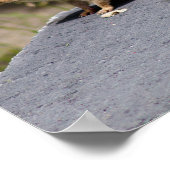 Brownie Poster (Hoek)