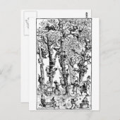 Brownies plukken appels in boomgaarden briefkaart (Voorkant / Achterkant)