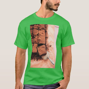 Brownies T-shirt