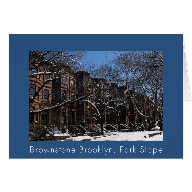Brownstone Brooklyn, NY (Voorkant Horizontaal)