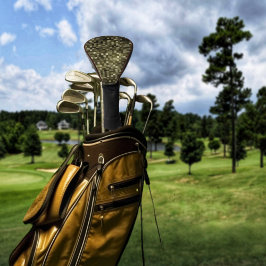 Brownstone Grid Golfheadcover
