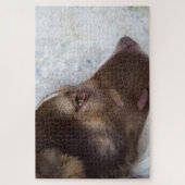 Browny Legpuzzel (Verticaal)