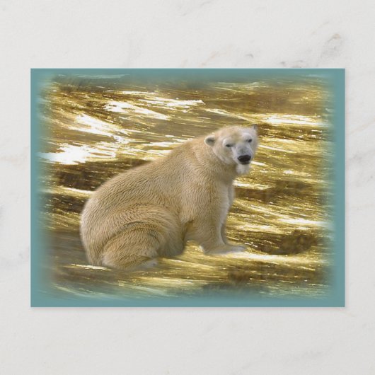 Brr.....Briefkaart Briefkaart (Voorkant)