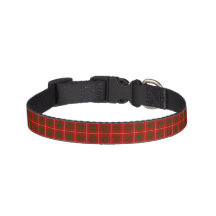 Bruce Family Tartan