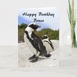 Bruce Happy Birthday Afrikaanse Pinguïns Humor Kaa Kaart
