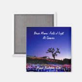 Bruce Munro, lichtveld, Paso Robles, CA. Magneet (Voorkant / Achterkant)