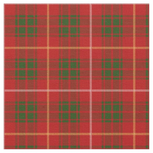 Bruce Tartan Print Stof (Close Up)