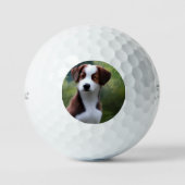 Bruce The Border Collie Puppy, Golf Balls Golfballen (Voorkant)