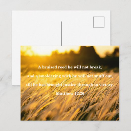 Brued Reed Bijbel Verse Briefkaart (Voorkant / Achterkant)