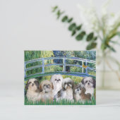Brug - 6 Shih tzus Briefkaart (Staand voorkant)