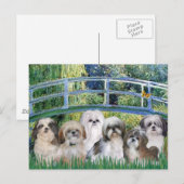 Brug - 6 Shih tzus Briefkaart (Voorkant / Achterkant)