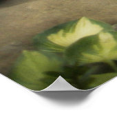 Brug aan jezelf met citaat poster (Hoek)