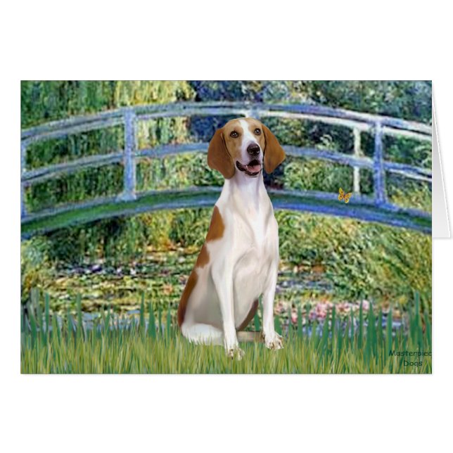Brug - Amerikaanse Foxhound (Voorkant Horizontaal)