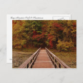 Brug bij Bays Mounatin Briefkaart (Voorkant / Achterkant)