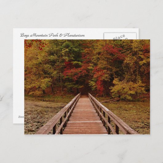 Brug bij Bays Mounatin Briefkaart (Voorkant / Achterkant)