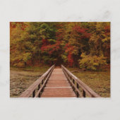 Brug bij Bays Mounatin Briefkaart (Voorkant)