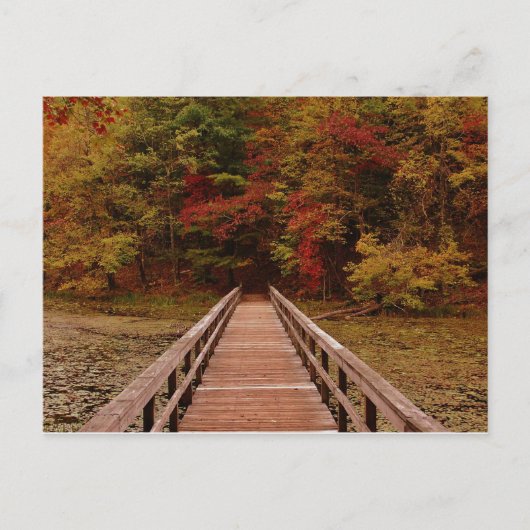 Brug bij Bays Mounatin Briefkaart (Voorkant)