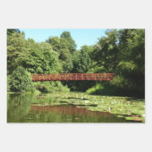 Brug bij het meer van het honderdjarig bestaan in inpakpapier vel (Voorkant 2)