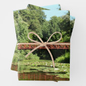 Brug bij het meer van het honderdjarig bestaan in inpakpapier vel (In situ)