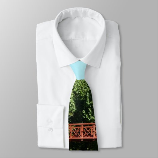 Brug bij het meer van het honderdjarig bestaan in  stropdas (Gebonden)