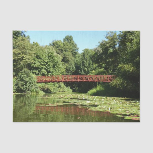 Brug bij het meer van het honderdjarig bestaan in  tissuepapier (Voorkant)
