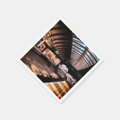 Brug bij het station servet (Hoek)