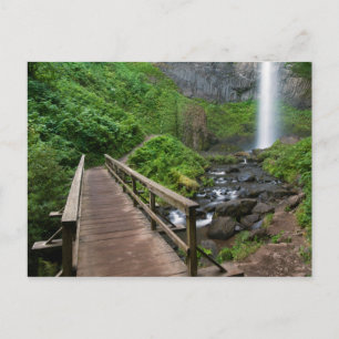 Brug bij Latourell Falls, Columbia River Gorge, Briefkaart