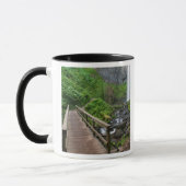 Brug bij Latourell Falls, Columbia River Gorge, Mok (Links)