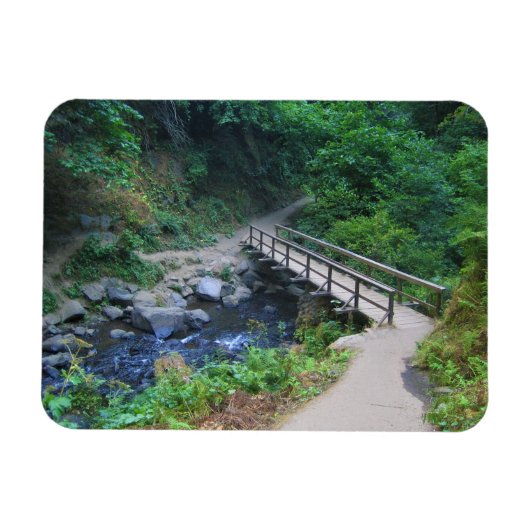 Brug bij Latourell-Herfsten, Oregon Magneet (Horizontaal)