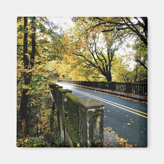 Brug bij Latourell-Herfsten, Oregon Magneet (Voorkant)