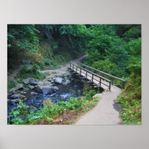 Brug bij Latourell-Herfsten, Oregon Poster